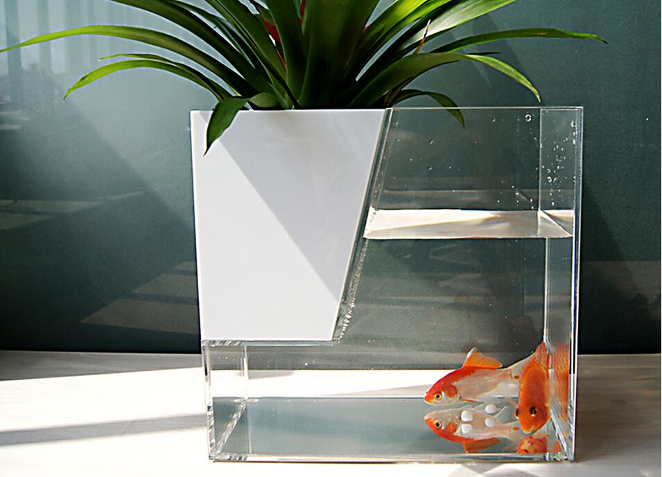 亚克力鱼缸和玻璃鱼缸哪个好呢?